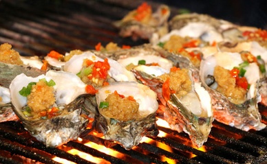 食疗佳品海蛎子（牡蛎）