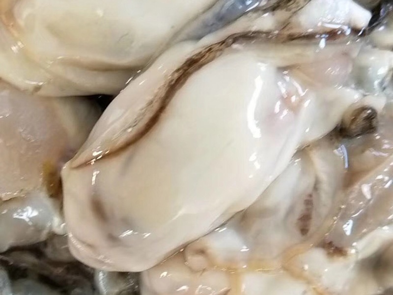 原浆牡蛎肉