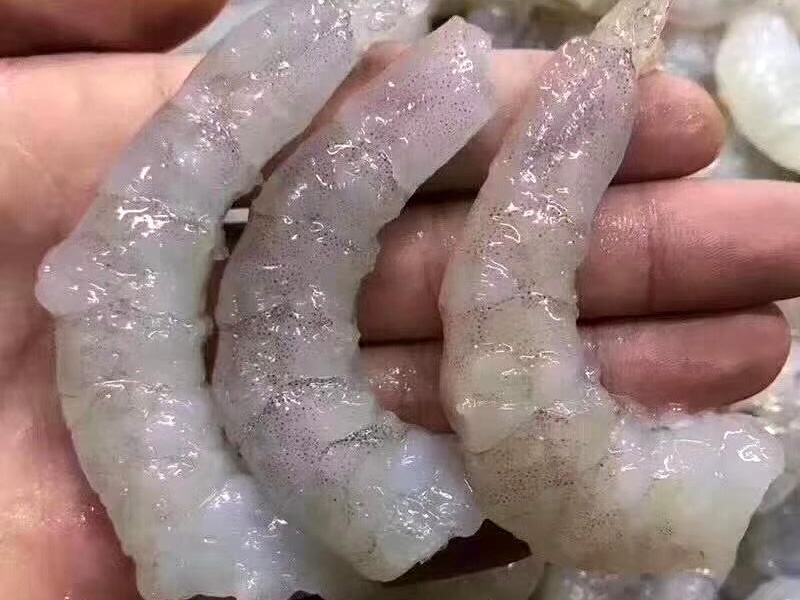 不吃水虾仁