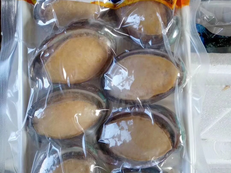 鲍鱼